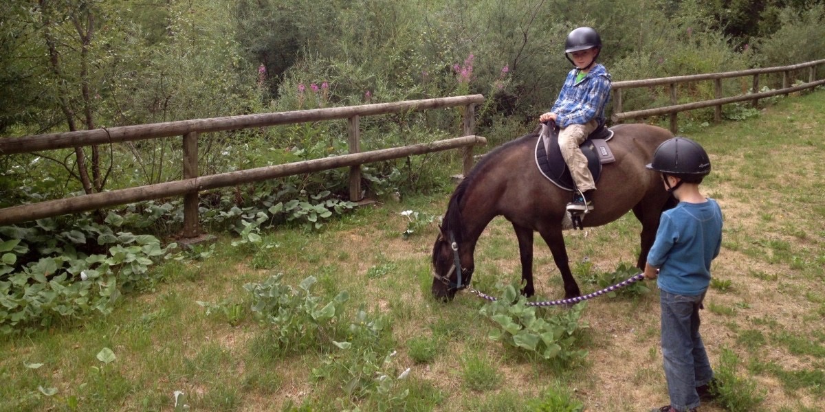 Pony ride Vanoise National Park