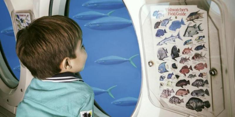Submarine ride© Atlantis Submarine Barbados