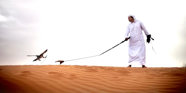Falconry in Dubai © Visit Dubai.