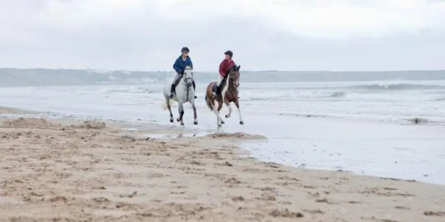 Beach horse riding at The Bay. Beach horse riding at The Bay.